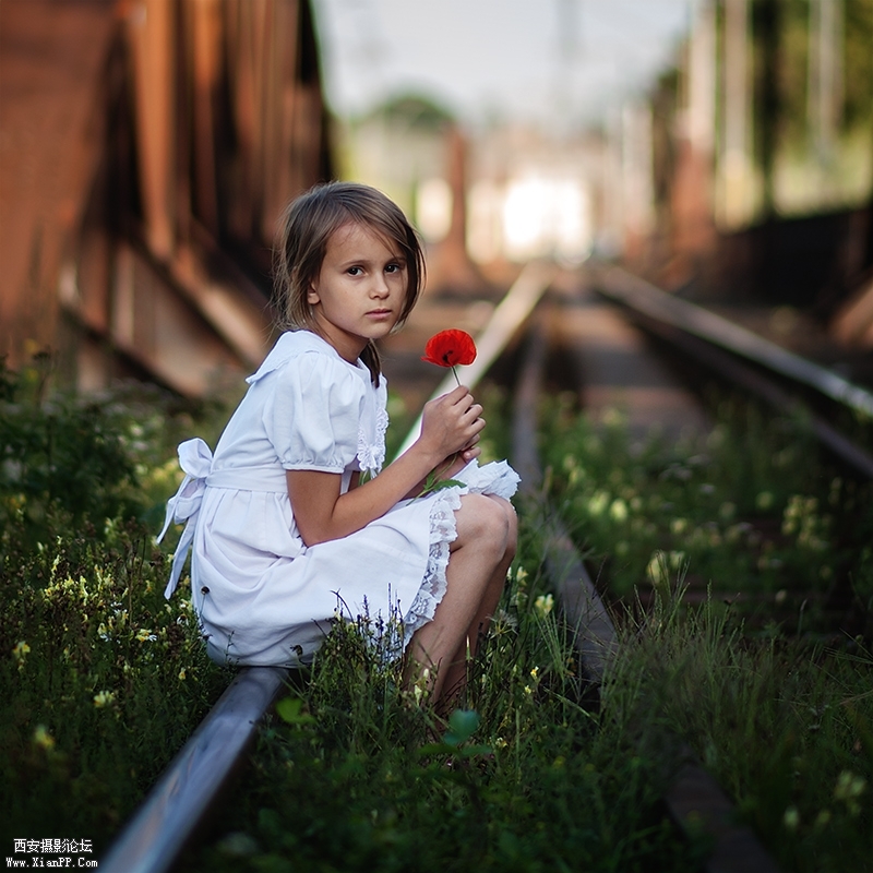 1901463rixii43i2g4ryg8.jpg