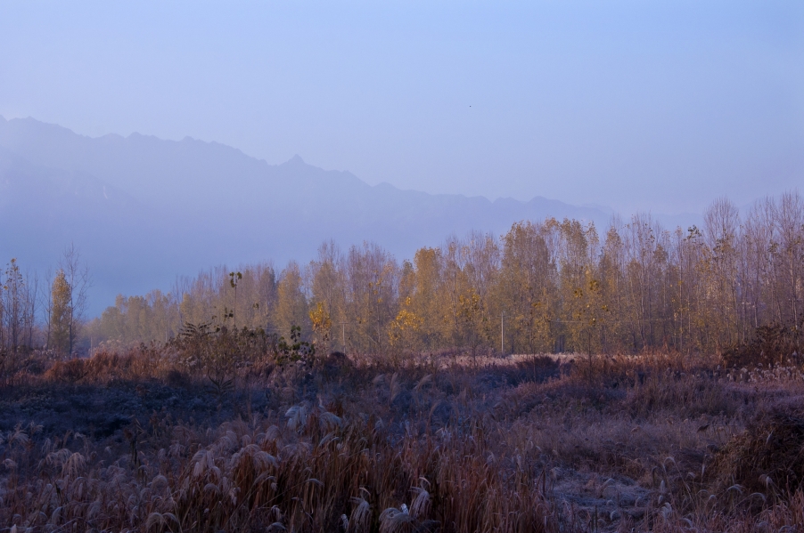DSC_0444.jpg