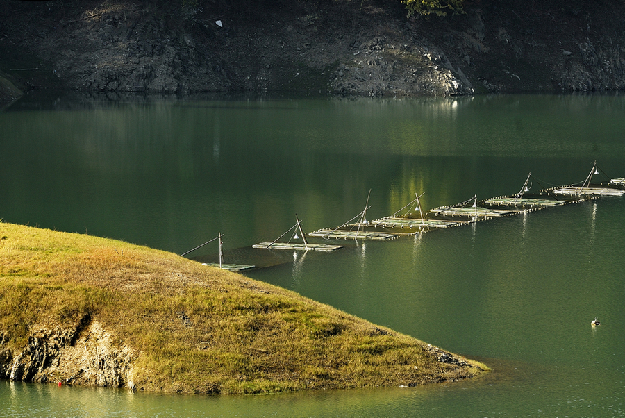 _DSC0009.jpg