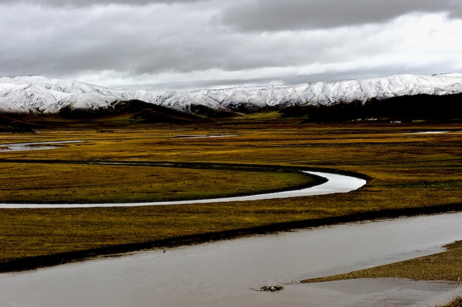DSC_3432.jpg