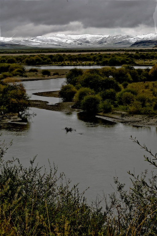 IMG_7256.jpg