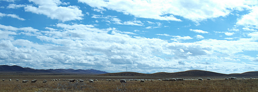 L1022578.jpg