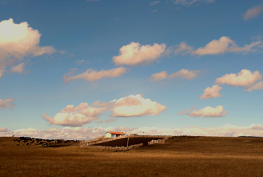 L1022586.jpg