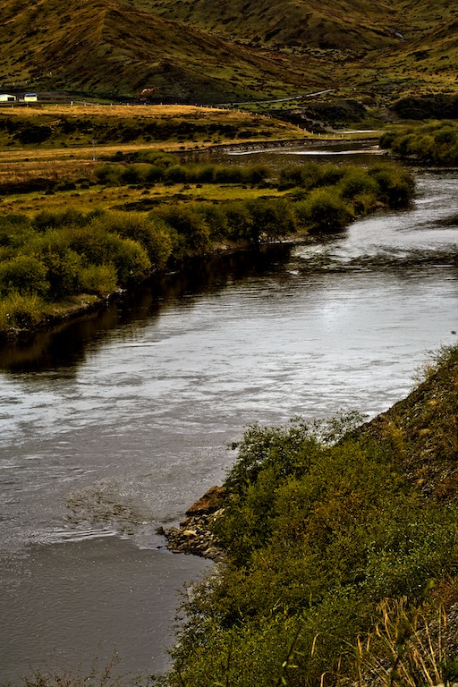 IMG_7290_2.jpg
