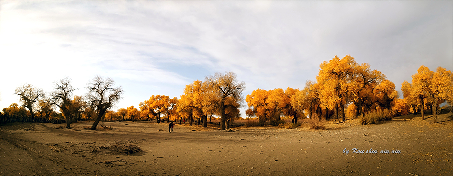 DSC01148-900（全景）.jpg