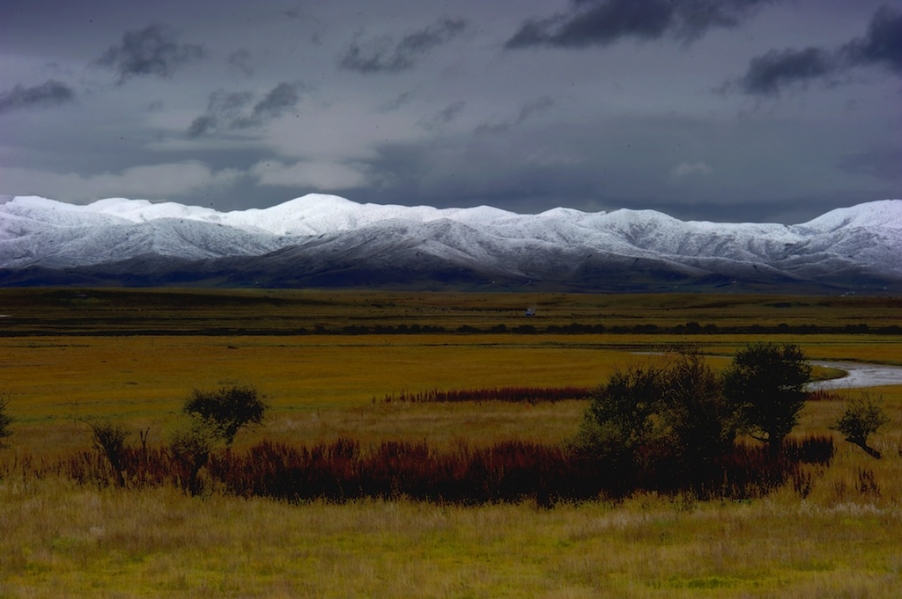 DSC_3355.jpg