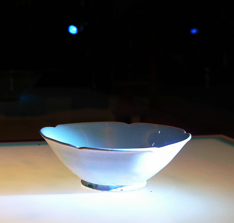 L1024220.jpg