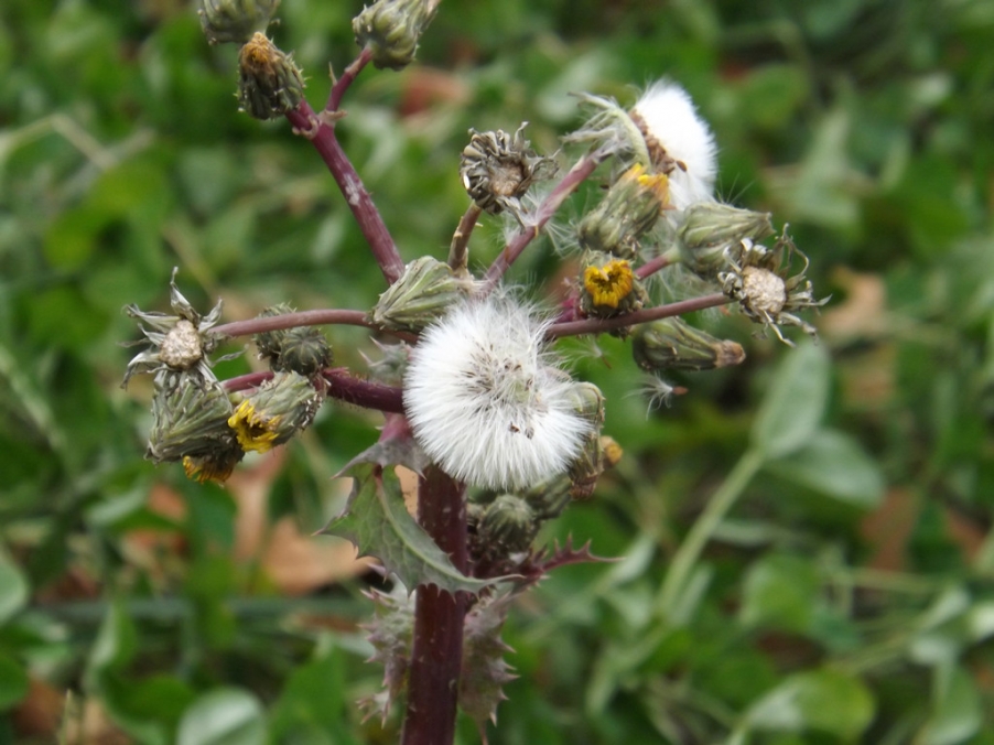 照片 005_副本.jpg