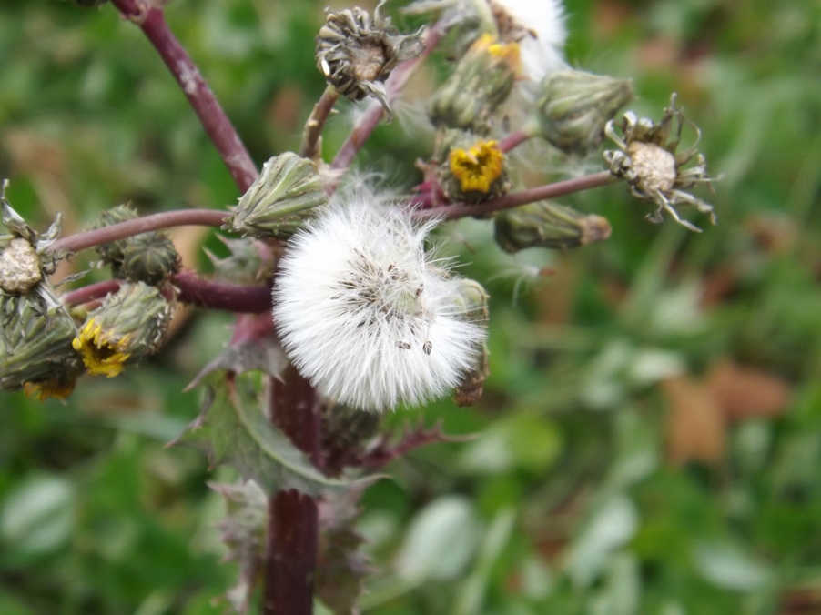 照片 006_副本.jpg