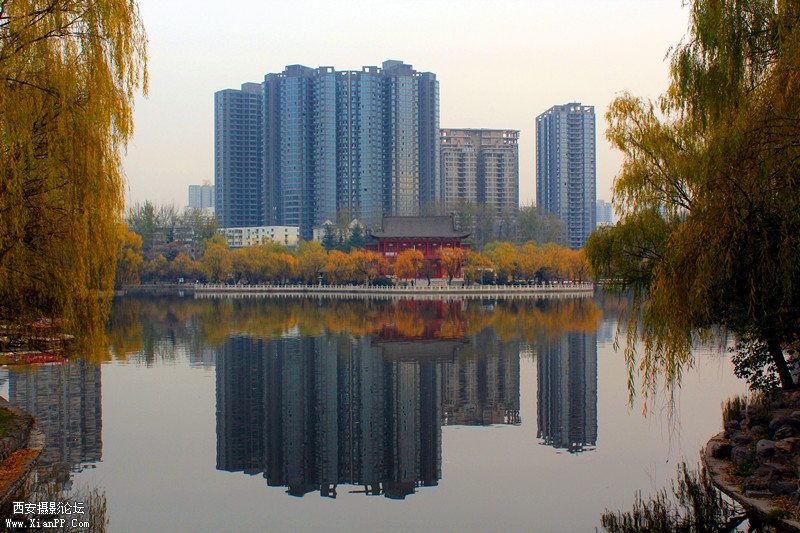 IMG_8486_副本.jpg