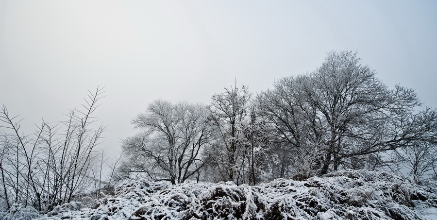 DSC_3845_1.JPG