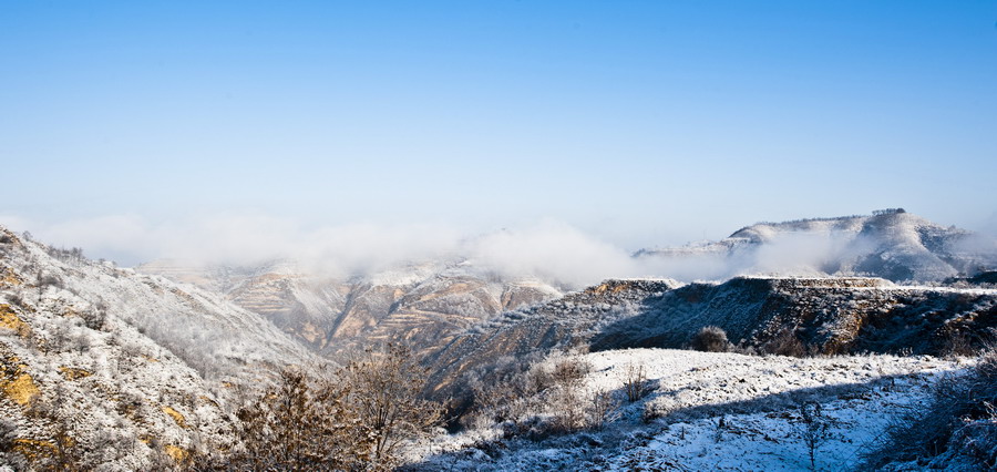 DSC_3909.JPG