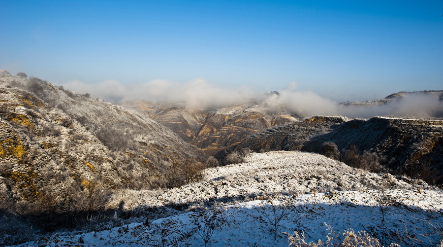 DSC_3914.JPG