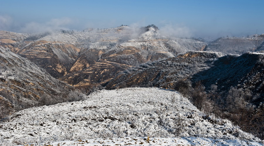 DSC_3937.JPG