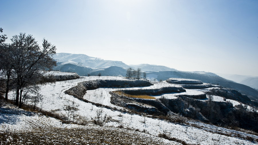 DSC_4065.JPG