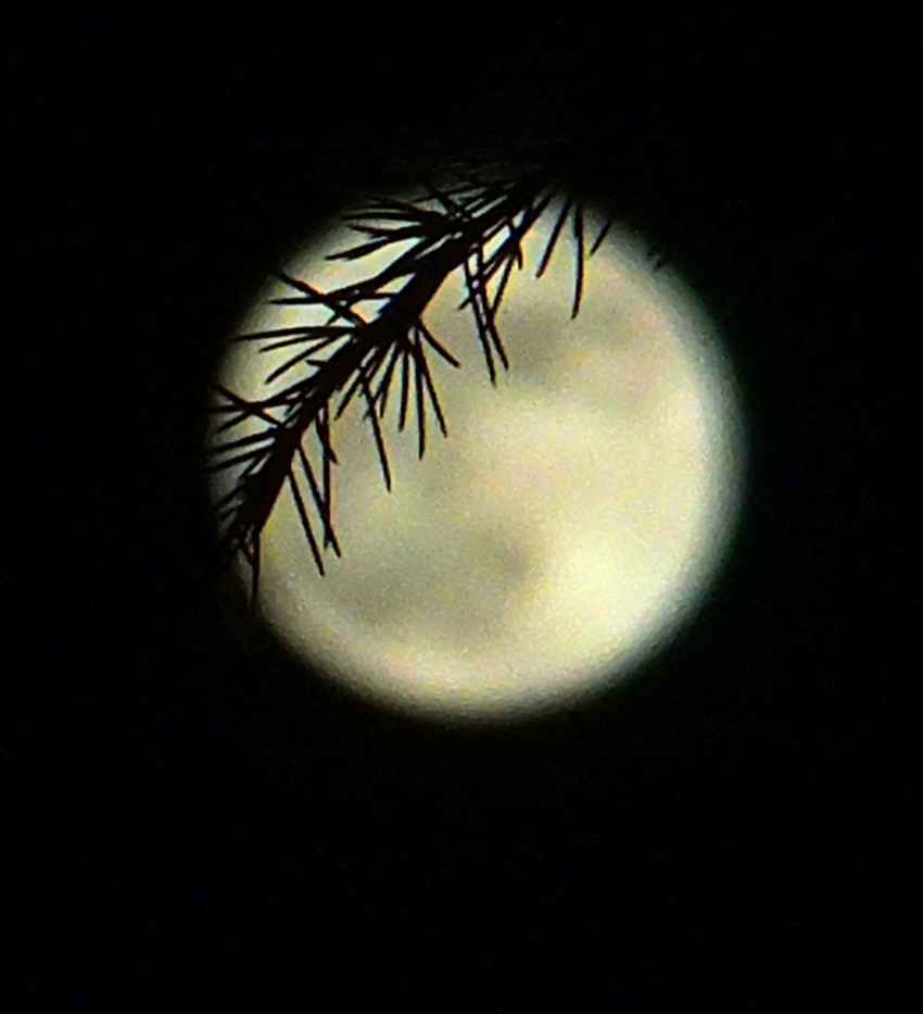DSCF0890_副本.jpg