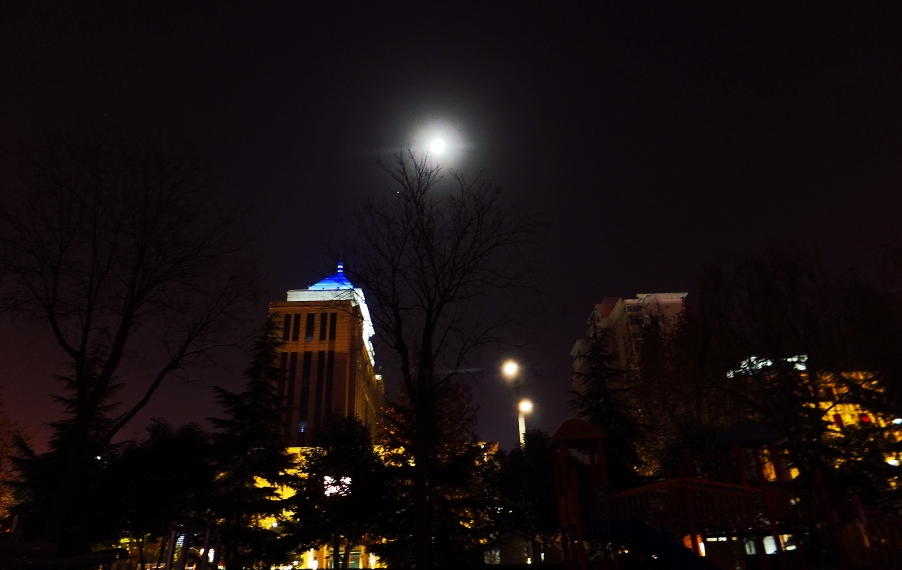 DSCF0935_副本.jpg