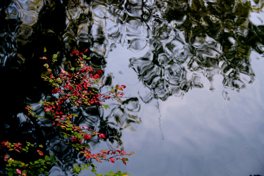 湖北郧西五龙河 016.JPG