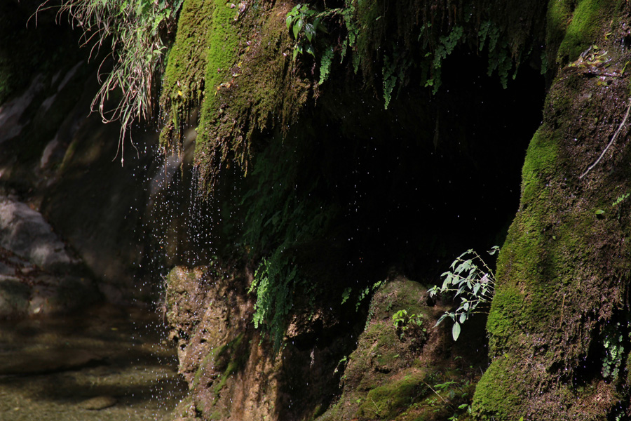 湖北郧西五龙河 083.JPG