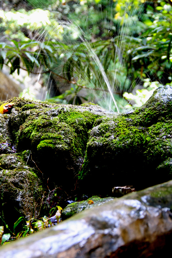 湖北郧西五龙河 097.JPG