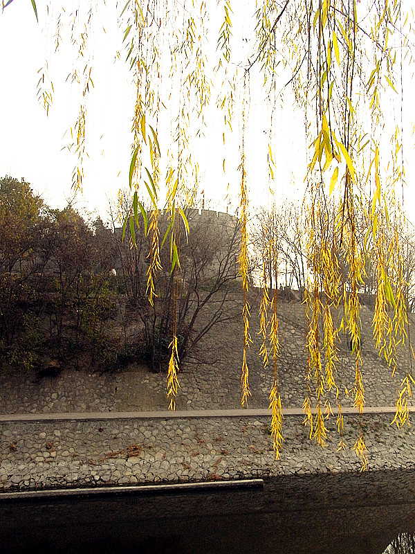 R0010435_副本.jpg