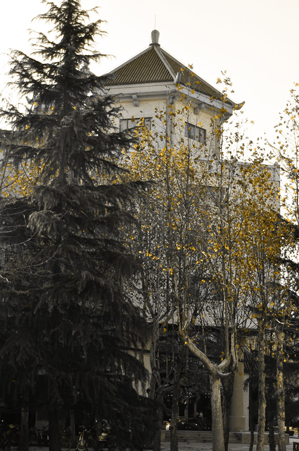 DSC_0008.JPG