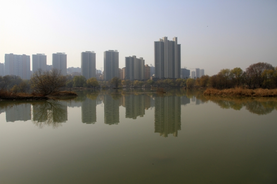 浐灞秋景 523.jpg
