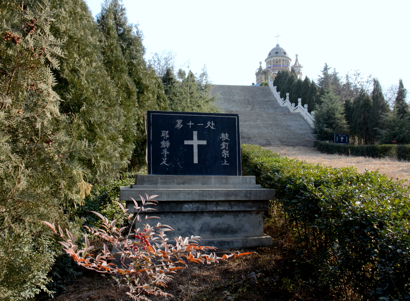 DSC_1673.jpg