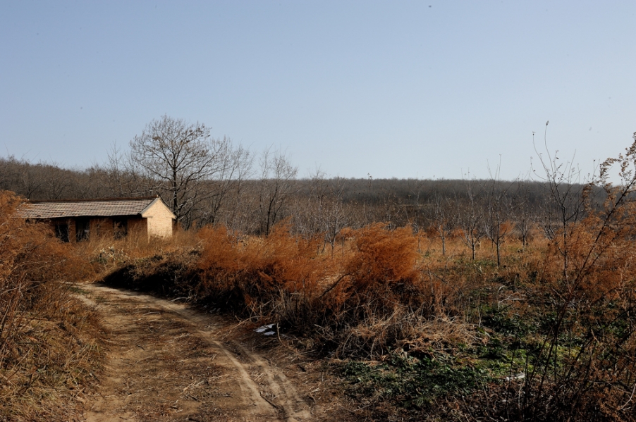 DSC_6699.jpg