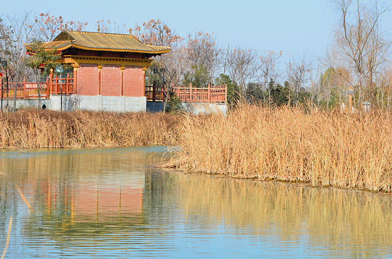 DSC_6677_副本.jpg