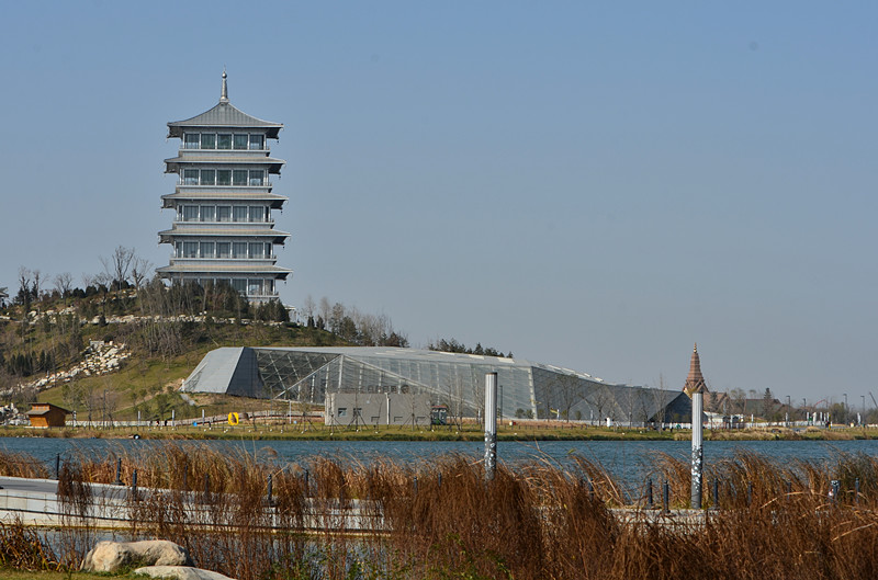 DSC_6718_副本.jpg