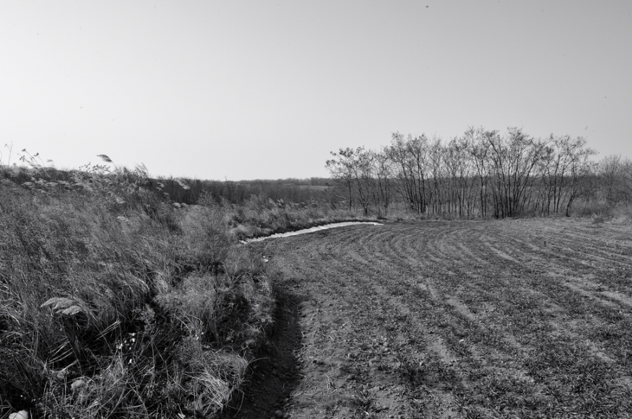 DSC_6661.jpg