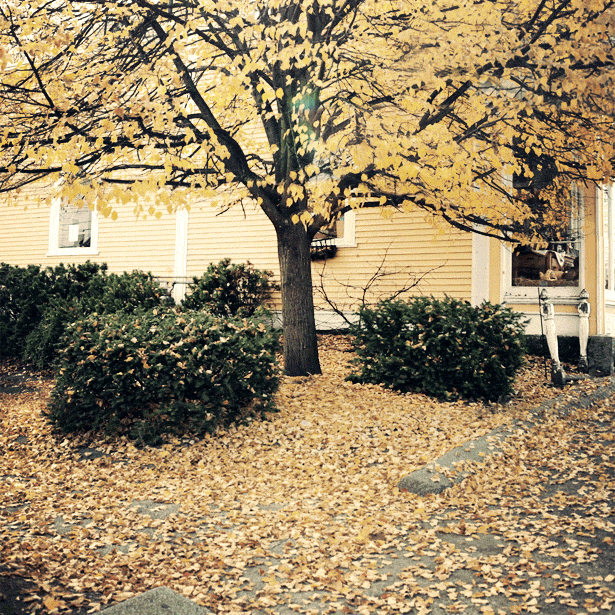 093315uhhzf8ffhadsgj8f.gif