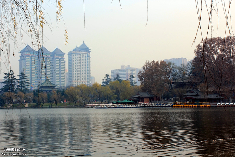 IMG_8908_副本.jpg