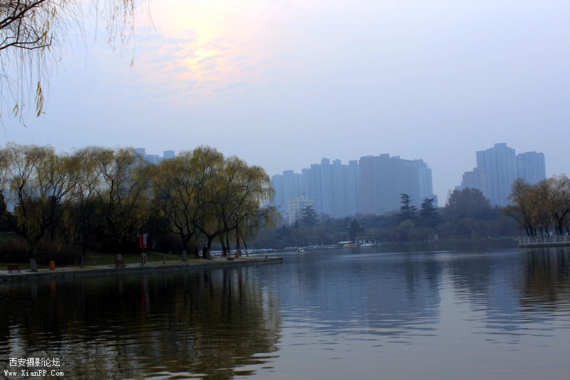 IMG_9018_副本.jpg