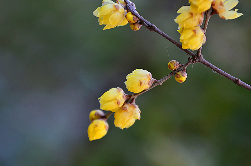 照片 026_副本.jpg