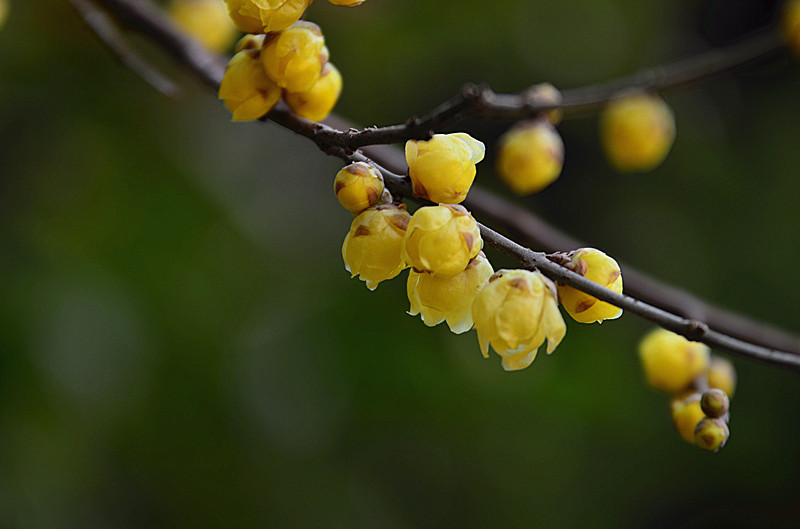 照片 038_副本.jpg