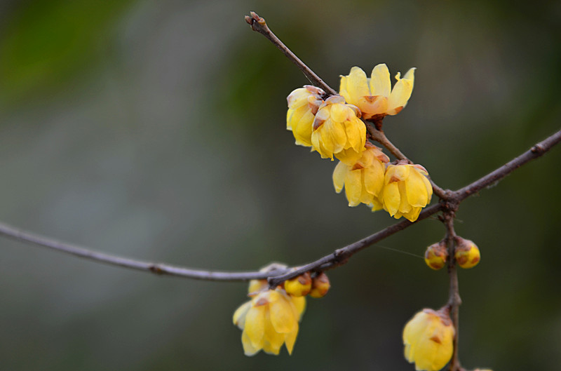 照片 043_副本.jpg