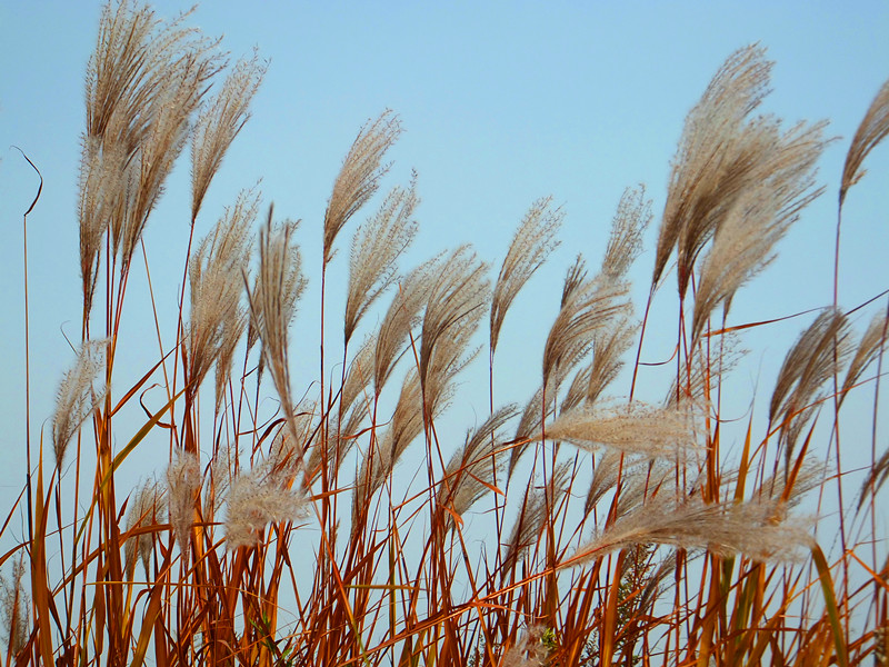 DSCF8935_副本 - 复制.jpg