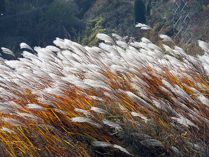 DSCF8921_副本 - 复制.jpg