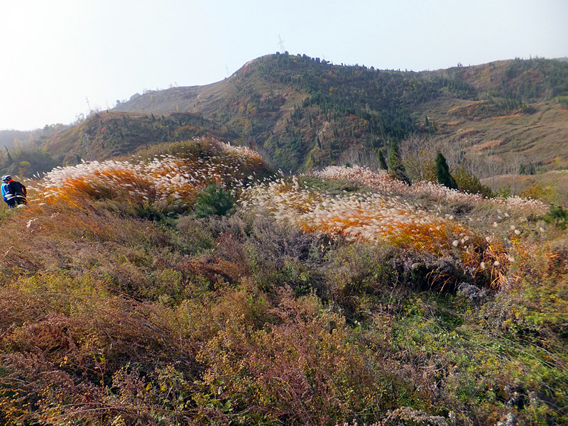 DSCF8913_副本 - 复制.jpg