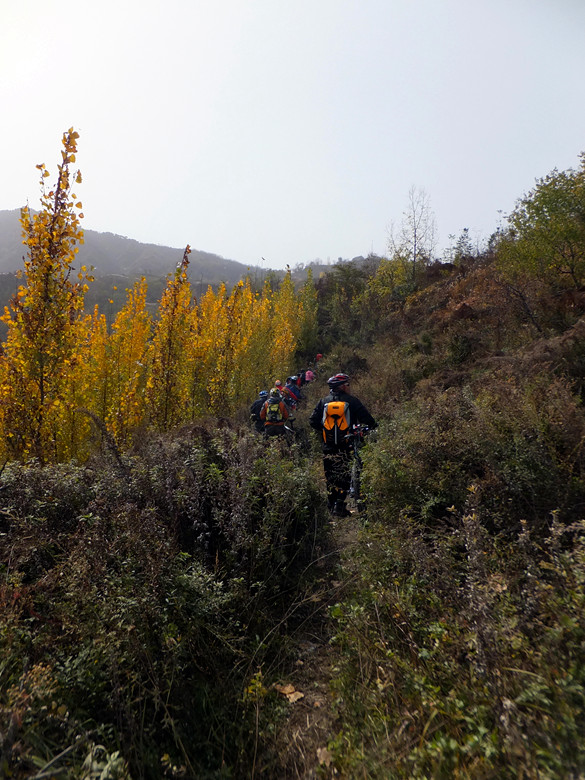 DSCF8858_副本 - 复制.jpg