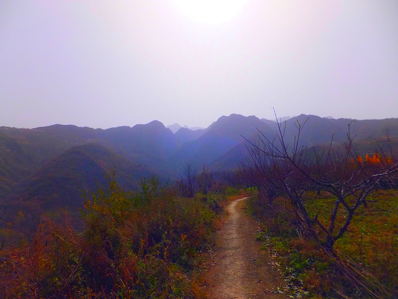 DSCF8857_副本 - 复制.jpg