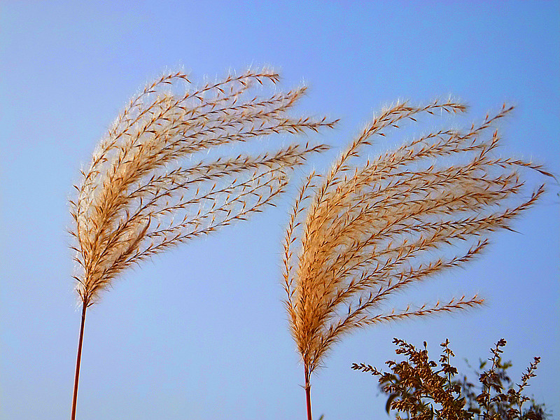 DSCF8803_副本 - 复制.jpg