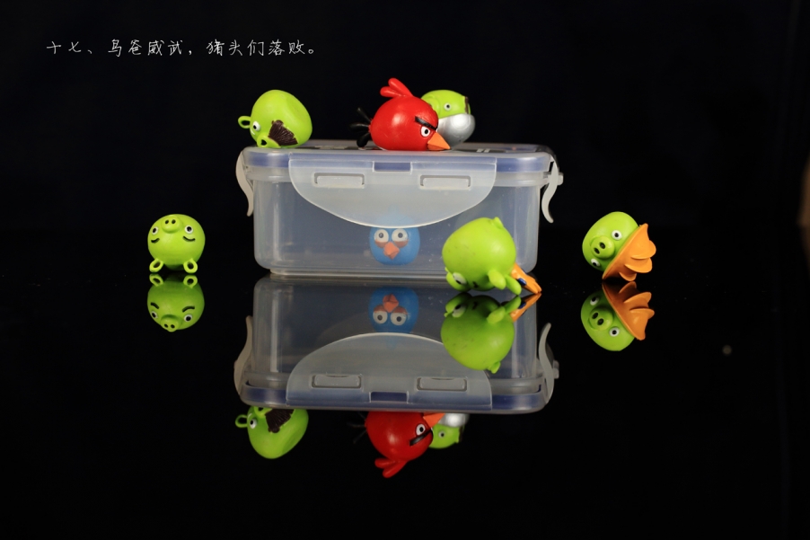 愤怒的小鸟17.jpg