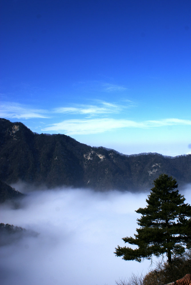DSC04719_副本.jpg