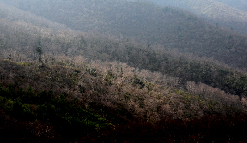 DSC_0293.jpg