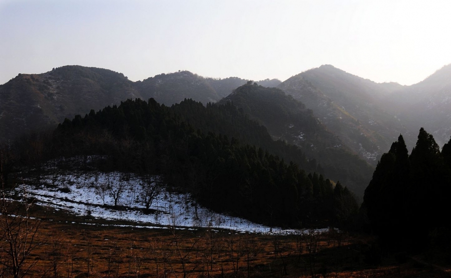 DSC_1271.jpg
