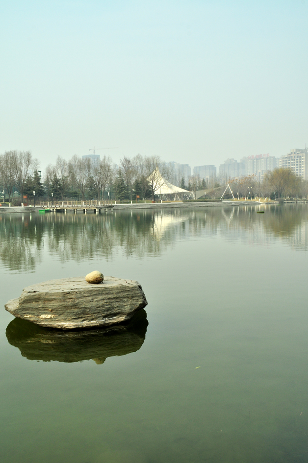 DSC_0217.JPG