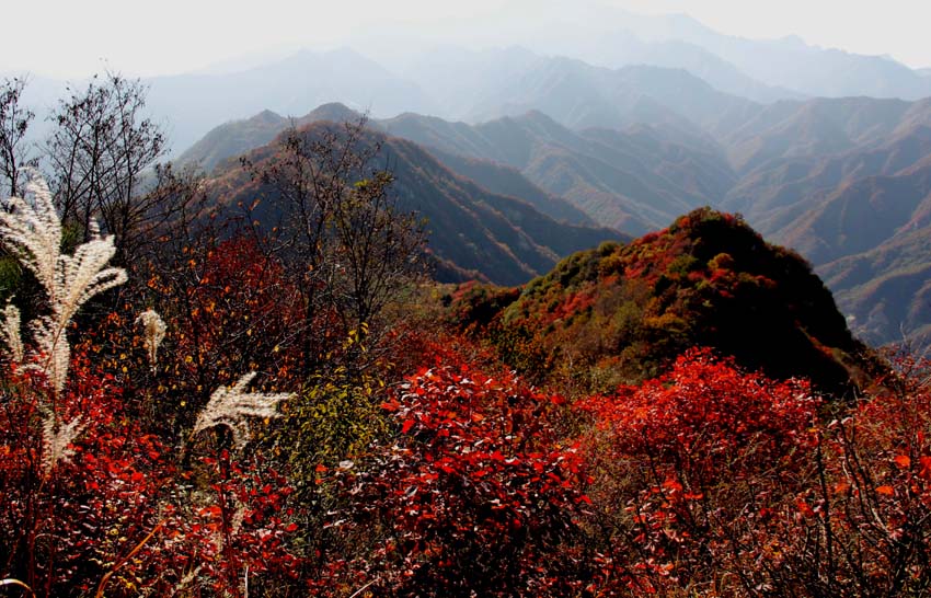 IMG_3748 副本.jpg
